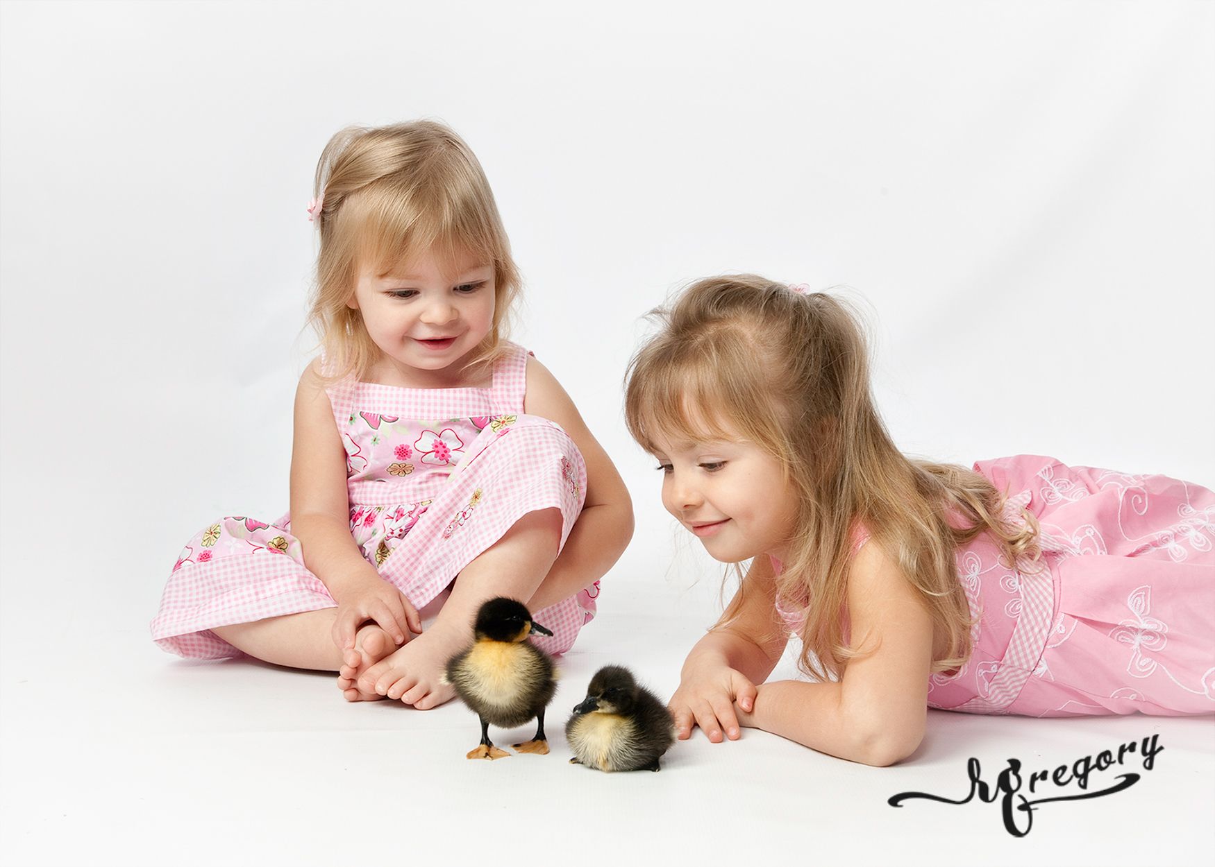child studio pic in spring with baby ducks