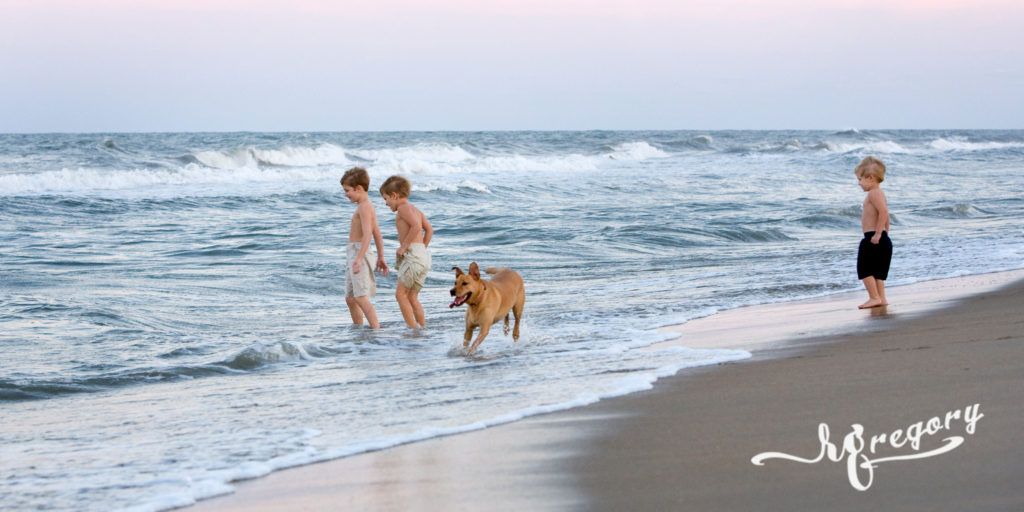 children and a dog on the beach pro pic